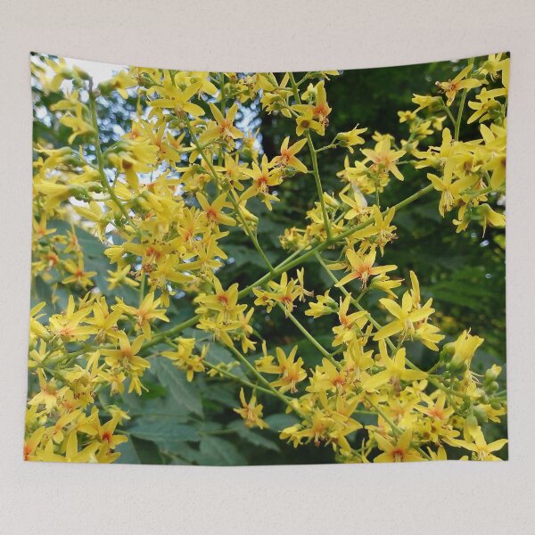 Item preview, Golden rain tree in full bloom original artwork designed and sold by paragonDesign28.