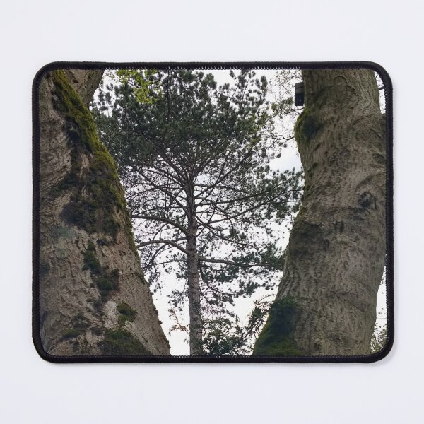 Item preview, #346 |☼| Tree Between Two Trunks (Matlock Bath) designed and sold by Naean H.F. (Nez Man).