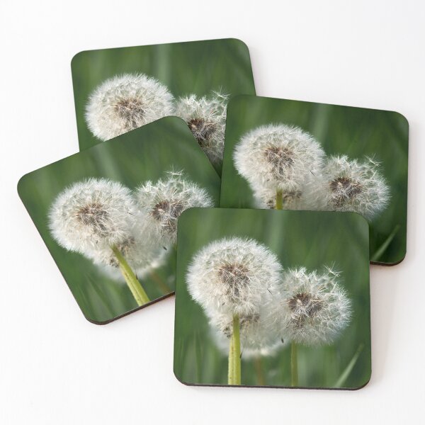 Item preview, Ready to go. Dandelion designed and sold by Jouko Lehto Photography.