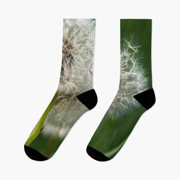 Item preview, Ready to go. Dandelion designed and sold by Jouko Lehto Photography.
