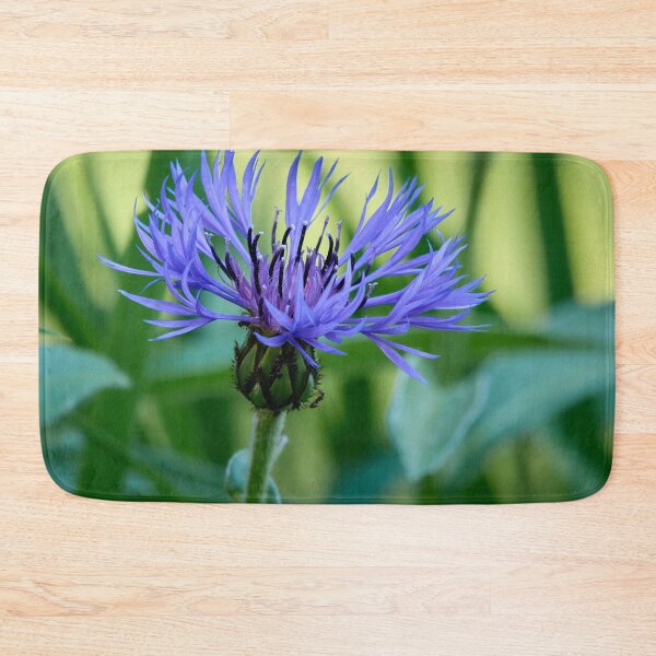 Item preview, In the shadow. Perennial Cornflower designed and sold by Jouko Lehto Photography.