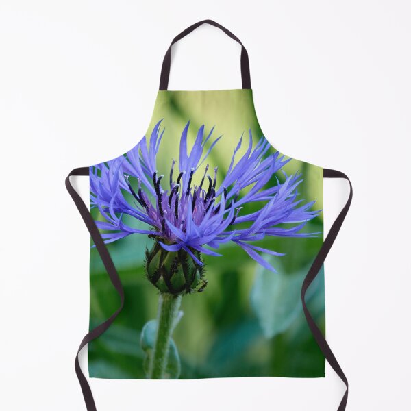 Item preview, In the shadow. Perennial Cornflower designed and sold by Jouko Lehto Photography.