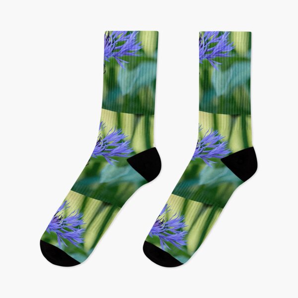 Item preview, In the shadow. Perennial Cornflower designed and sold by Jouko Lehto Photography.