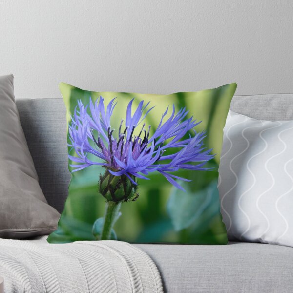 Item preview, In the shadow. Perennial Cornflower designed and sold by Jouko Lehto Photography.