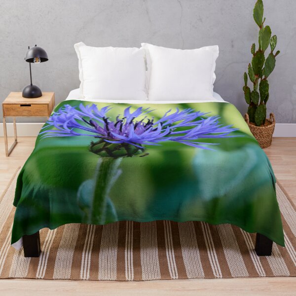 Item preview, In the shadow. Perennial Cornflower designed and sold by Jouko Lehto Photography.