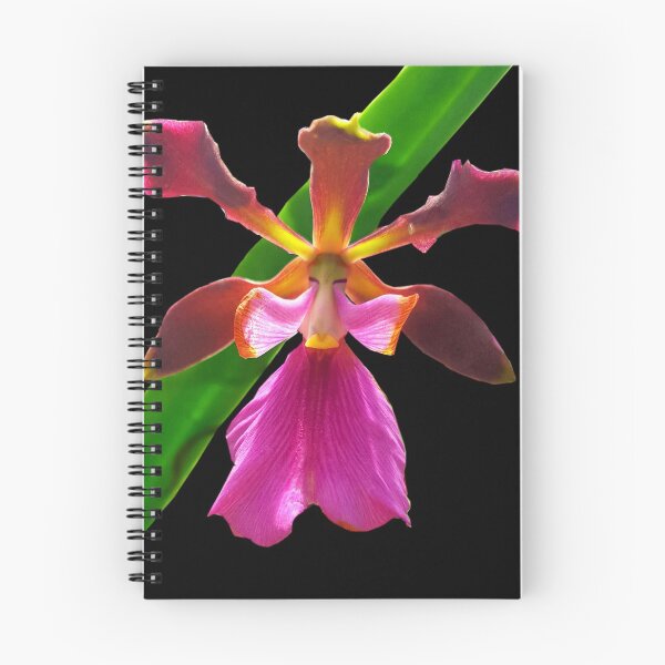 Item preview, Semazen - Orchid Alien Discovery designed and sold by Ashley Cooke.