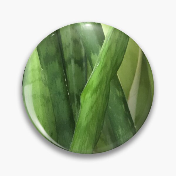 Item preview, Green Snakeplants designed and sold by CJRPics.