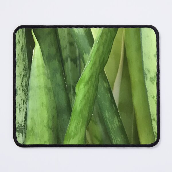 Item preview, Green Snakeplants designed and sold by CJRPics.