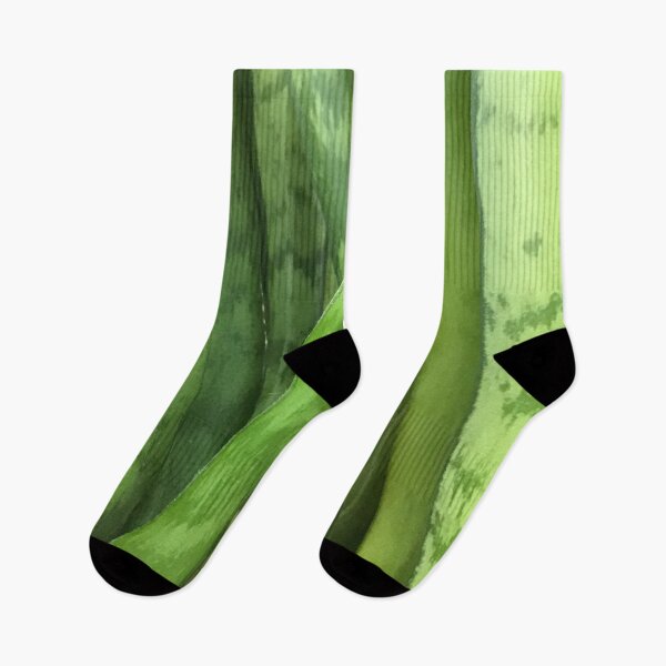 Item preview, Green Snakeplants designed and sold by CJRPics.