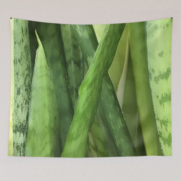 Item preview, Green Snakeplants designed and sold by CJRPics.