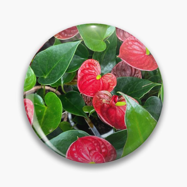 Item preview, Red leaves designed and sold by Lauracolleen3.