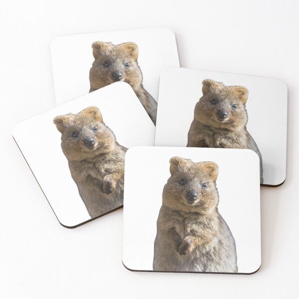 Item preview, Rock hyrax quokka designed and sold by SillyLittleSnek.
