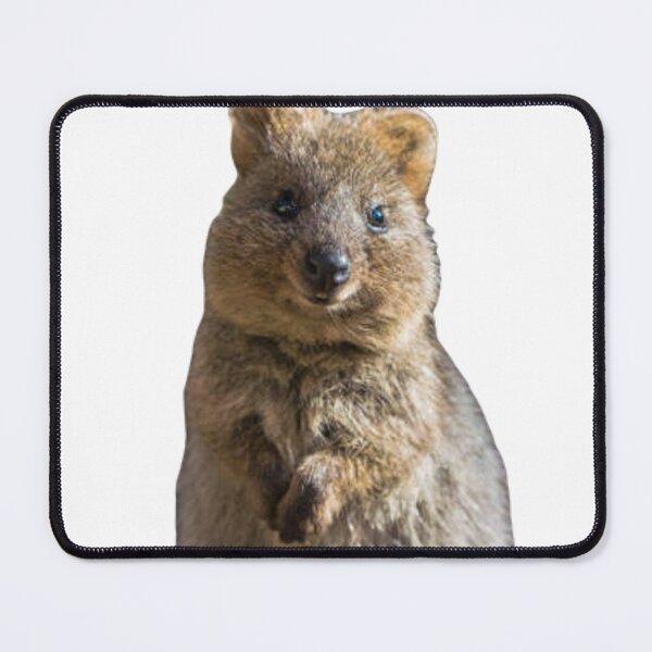 Item preview, Rock hyrax quokka designed and sold by SillyLittleSnek.