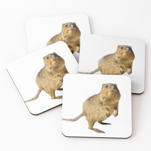 Item preview, Sandy Quokka  designed and sold by SillyLittleSnek.