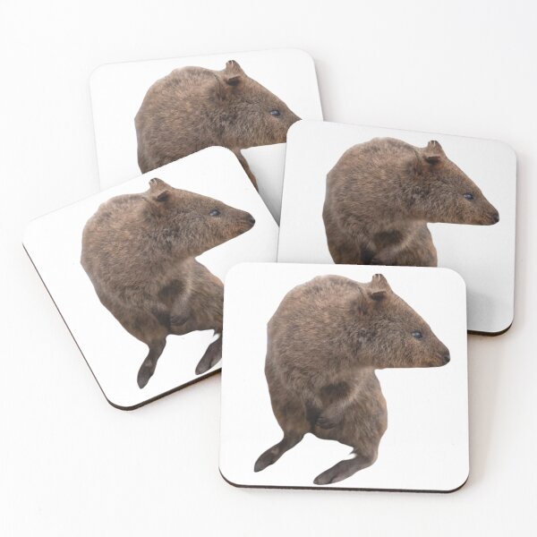 Item preview, Curious quokka  designed and sold by SillyLittleSnek.