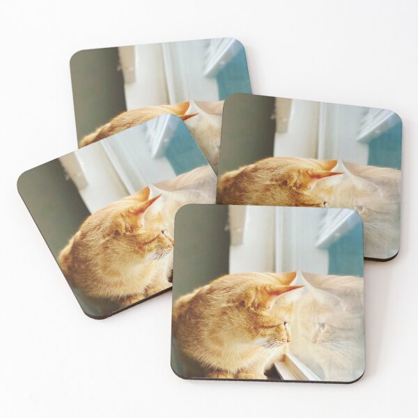 Item preview, a cute cat in a window  designed and sold by mirrfitness.