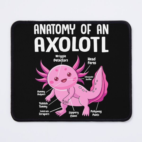 Item preview, Anatomy Of Axolotl Funny Axolotls, Cute Kawaii Shirt Axolotl Anatomy Biology, Love Axolotls, axolotl pet, mexican salamander, cute anatomy design, animal lover, biology nerdy science gift designed and sold by Duundeed.