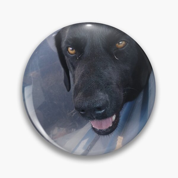 Item preview, Cute doggie in cone designed and sold by Masonscape.