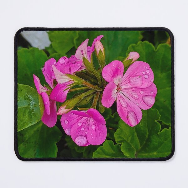 Item preview, pink flower designed and sold by Val art.
