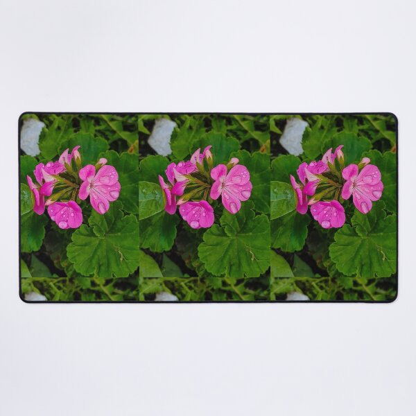 Item preview, pink flower designed and sold by Val art.