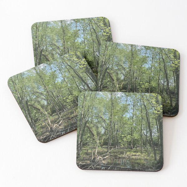Item preview, Forest Wetland designed and sold by Mychaila's Creations.