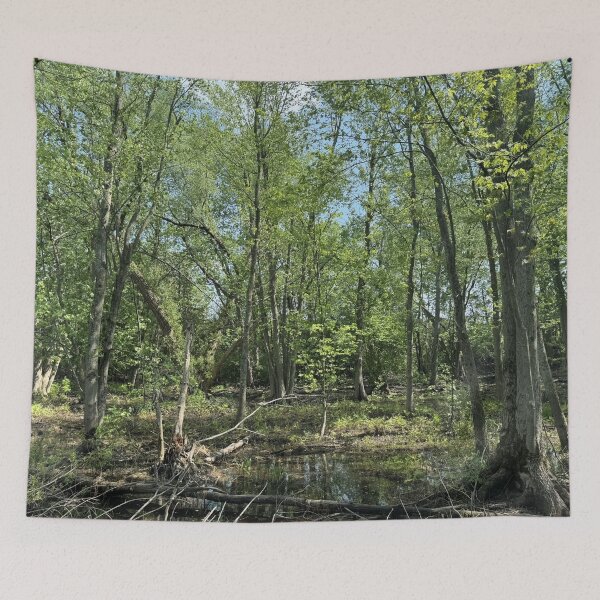 Item preview, Forest Wetland designed and sold by Mychaila's Creations.