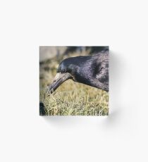 Rook Acrylic Block