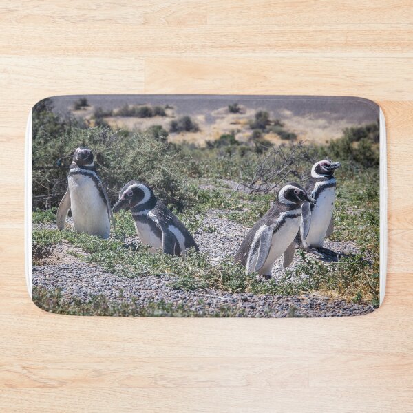 Item preview, The Majestic Magellanic Penguins of Punta Tombo Peninsula designed and sold by DFLC Prints.