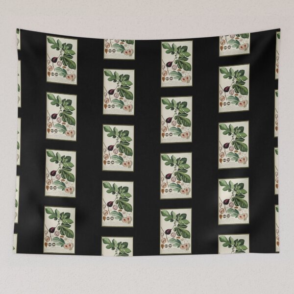 Item preview, Vintage Fig Tree Study, Print from the 1800's designed and sold by MountMercantile.