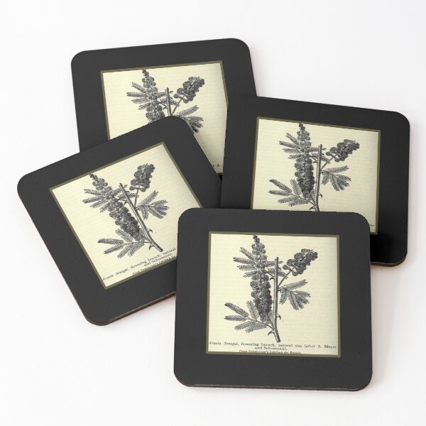 Item preview, Vintage Acacia Tree, Print from the 1800's designed and sold by MountMercantile.