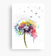Dandelion abstract flowers Canvas Print