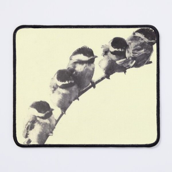 Item preview, Darling Cole Tit Birds on a Branch, Print from the 1800's designed and sold by MountMercantile.