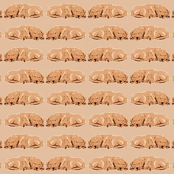 Artwork thumbnail, Retriever Romp by EnchantedDecor