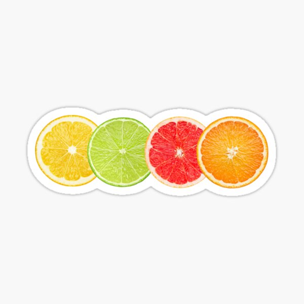 Citrus Slices • The Fruit Collection Sticker