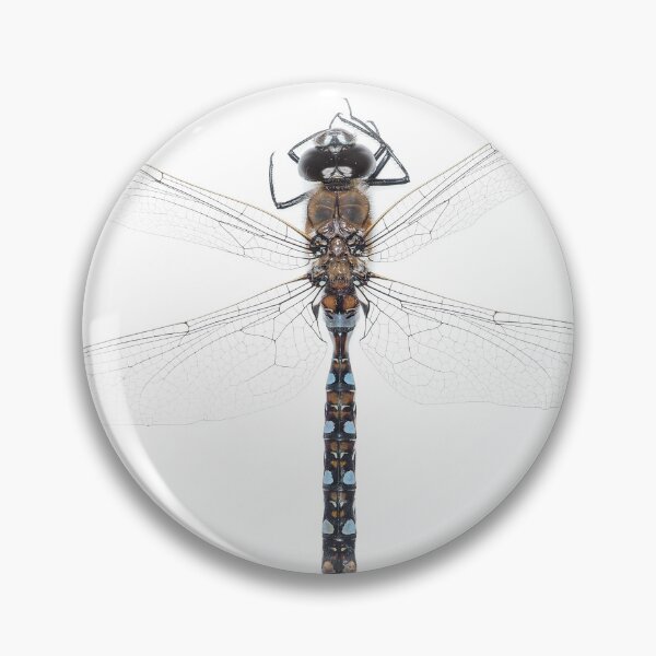 Item preview, California darner designed and sold by SDym Photography.