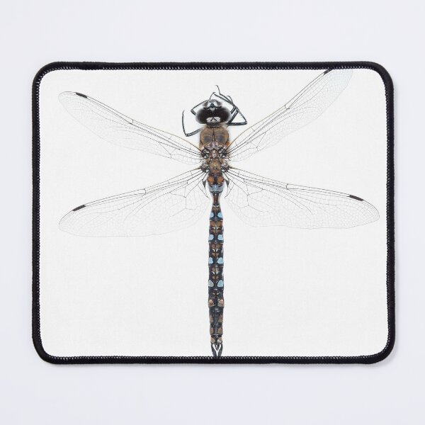 Item preview, California darner designed and sold by SDym Photography.