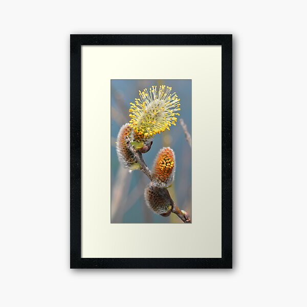 Evolving Framed Art Print