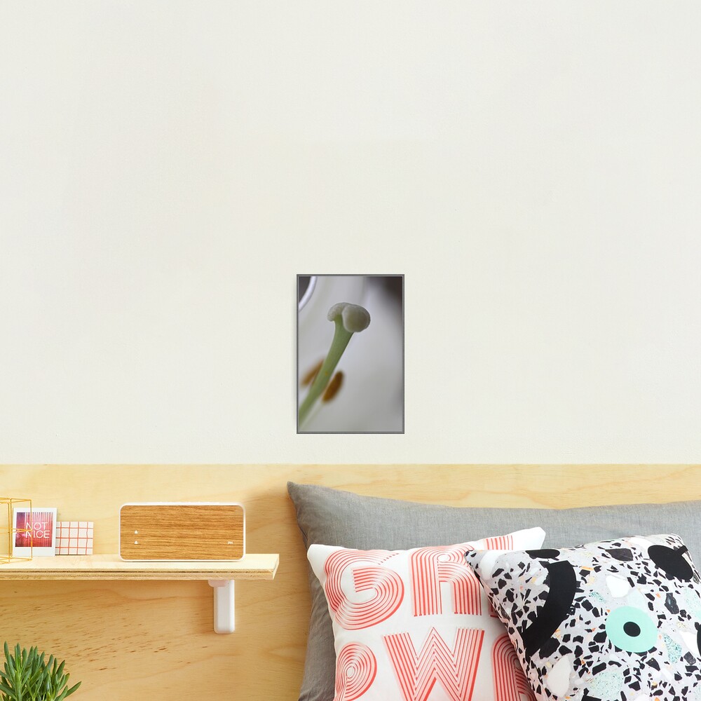 Item preview, Photographic Print designed and sold by cking.