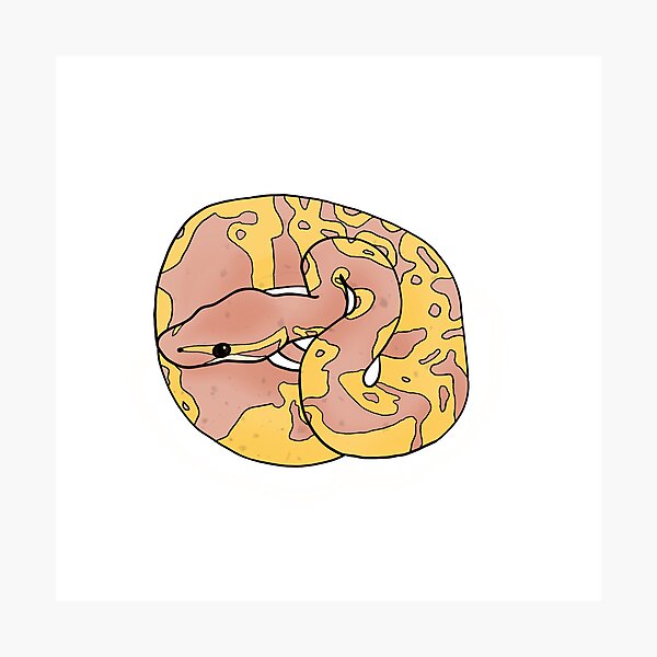 Item preview, Banana Ball Python designed and sold by sgropp13.