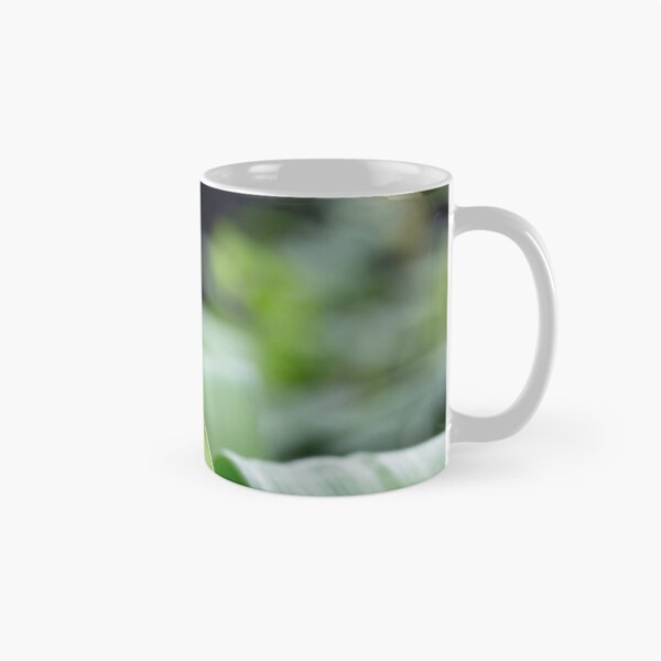 Item preview, concentration designed and sold by Manon Boily.