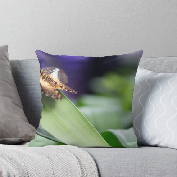 Item preview, concentration designed and sold by Manon Boily.