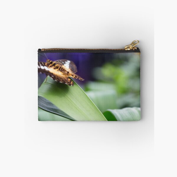 Item preview, concentration designed and sold by Manon Boily.