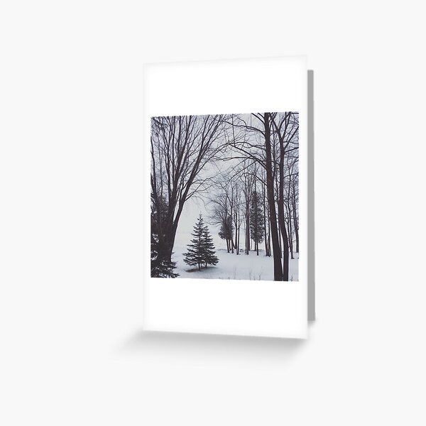 Christmas on Sand Bay Greeting Card