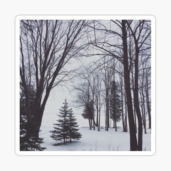 Christmas on Sand Bay Sticker