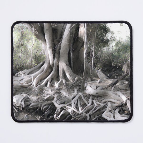 Item preview, STRANGLER FIG, BIOPHILIC ART DESIGNS FOR WALL ART AND ELECTRONIC ACCESSORIES designed and sold by Barbara Jean Photo Art And Design.