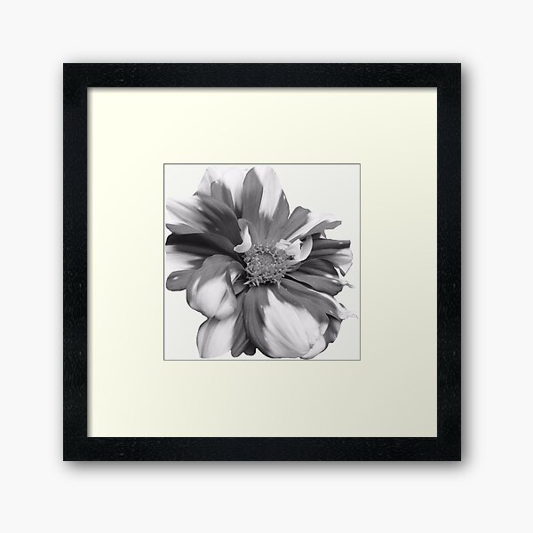 Vista previa del artículo con la obra «Mono fotografía floral», diseñado y vendido por Hannah Draper.