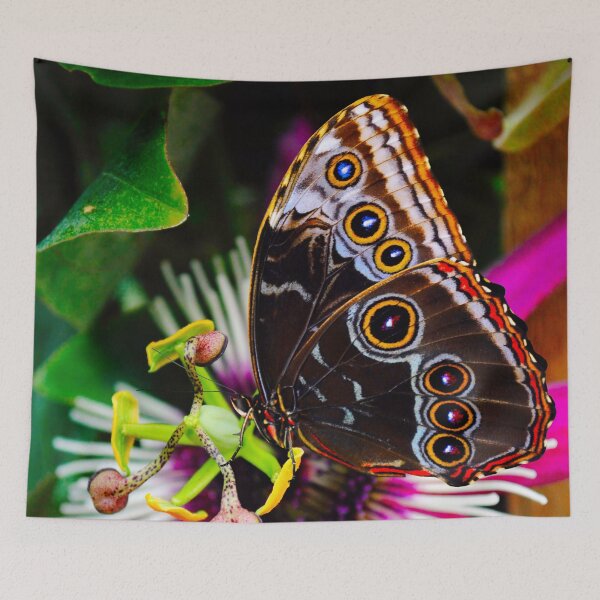 Item preview, Blue morpho butterfly pollinating Passiflora VIOLACEA flower designed and sold by Peter Etchells.