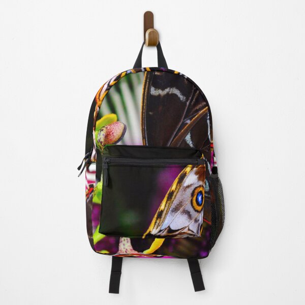 Item preview, Blue morpho butterfly pollinating Passiflora VIOLACEA flower designed and sold by Peter Etchells.