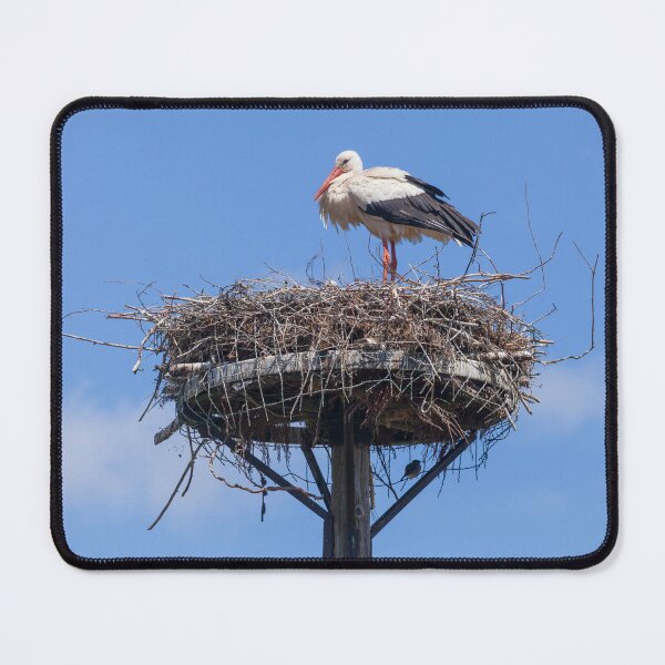 Item preview, White stork (Ciconia ciconia) with stork nest designed and sold by Torsten  Krüger.