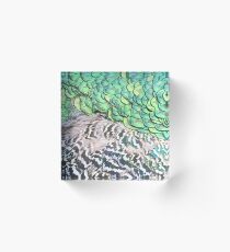 Pfau Muster Acrylblock